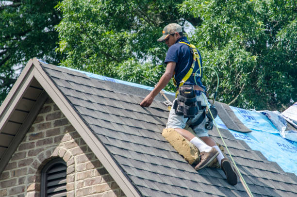 Roof Gutter Cleaning in Camp Hill, PA